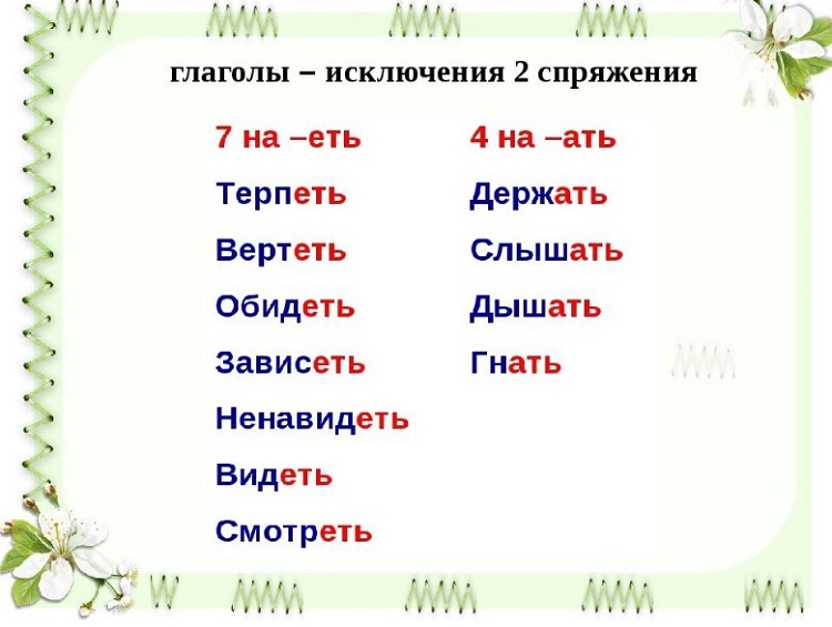 Foto23915 (2)