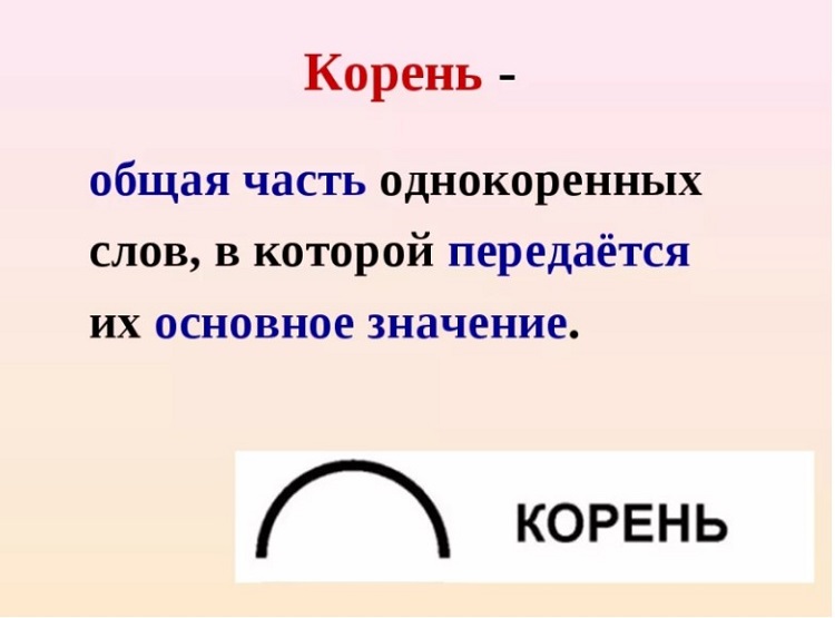 Foto26220 1