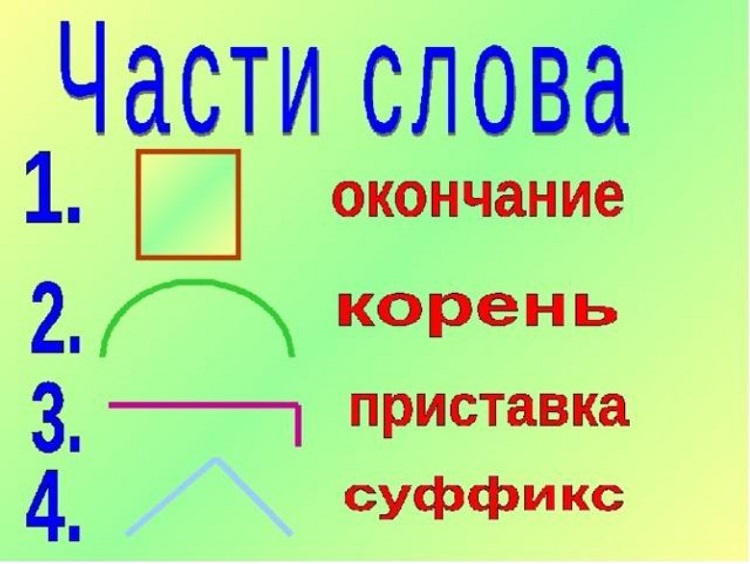 Foto26220 5